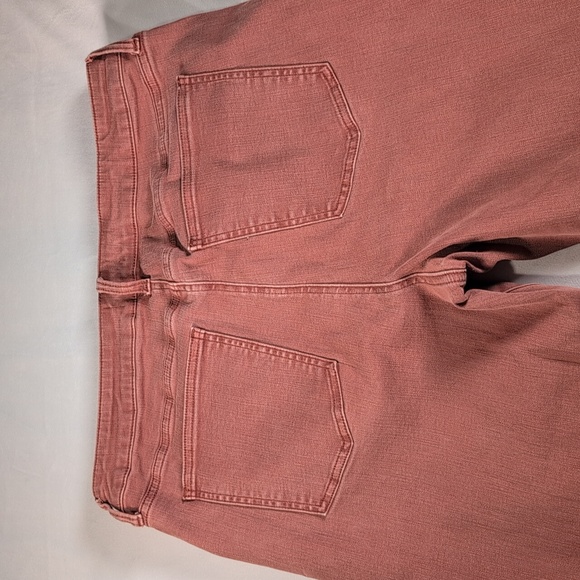 Pistola Arianna High Rise Skinny Jean in Dusty Clay Size 33 - Picture 9 of 9